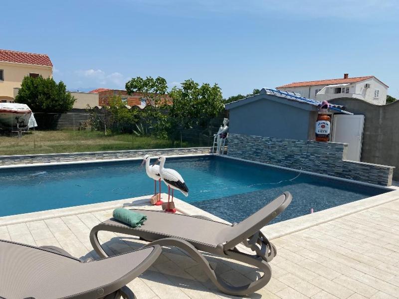 Croliday Apartment With Pool Nin Vrsi Exterior photo
